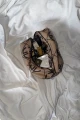 IMG_0553.jpeg