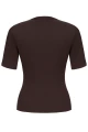 SLOW TOP BROWN BACK.jpg